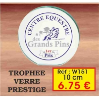 TROPHEE VERRE PRESTIGE : REF. W151 - 10 CM